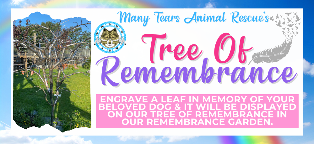 Many Tears Animal Rescue