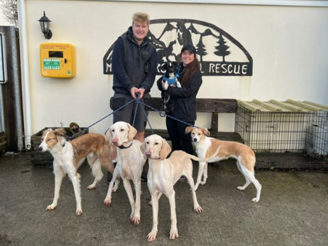 Staff members pictured with some of the dogs rescued this week