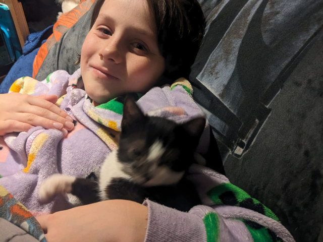 A boy and his kitten